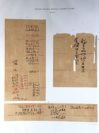 Image 26 of 27 for Facsimilé of the Rhind mathematical papyrus[newline]M0265b-26.jpg